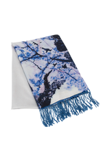 Load image into Gallery viewer, Shawl - Double sided silk
